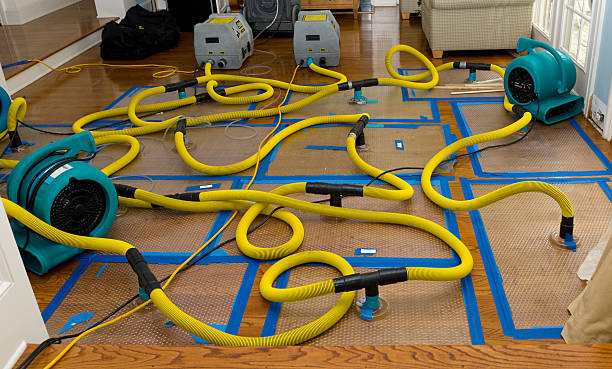 Professional Water Extraction technician working in Nunn, CO